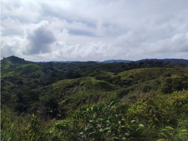 Cortijo de alto standing en venta Capira, Panamá Oeste