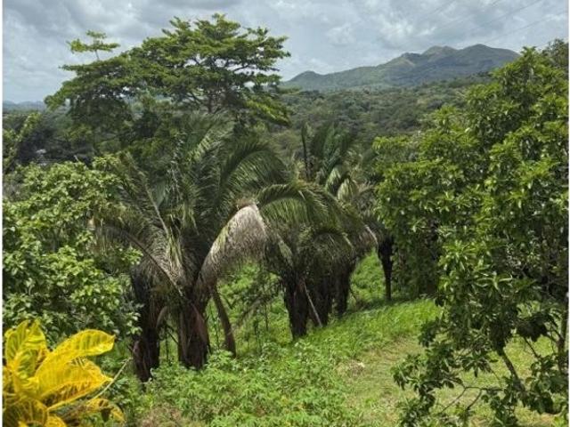 Cortijo de alto standing en venta Capira, Panamá Oeste