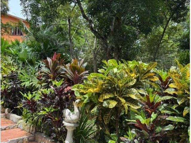 Cortijo de alto standing en venta Capira, Panamá Oeste