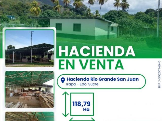 Propiedad en venta en Cariaco, Municipio Ribero