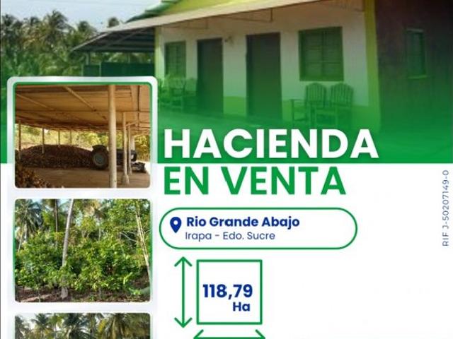 Propiedad en venta en Carúpano, Municipio Bermúdez
