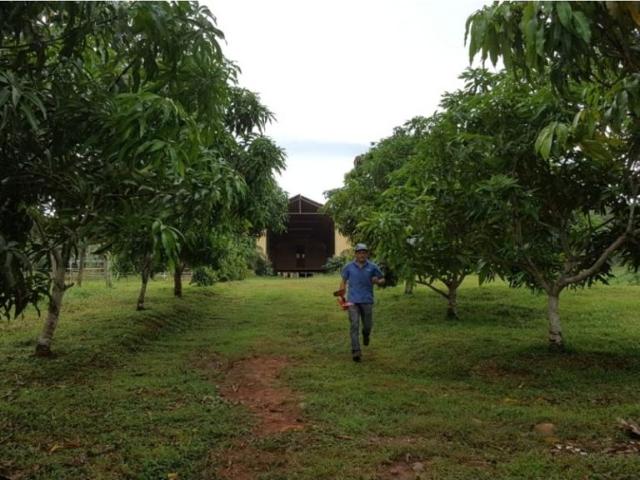 Cortijo de alto standing en venta Cermeño, Panamá Oeste