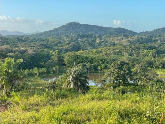 Cortijo de alto standing en venta Cermeño, Panamá Oeste