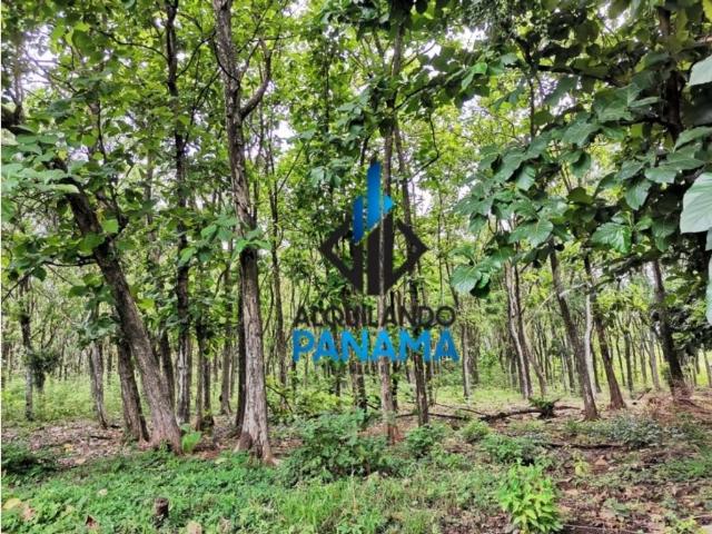 Cortijo de alto standing en venta Chame, Panamá Oeste