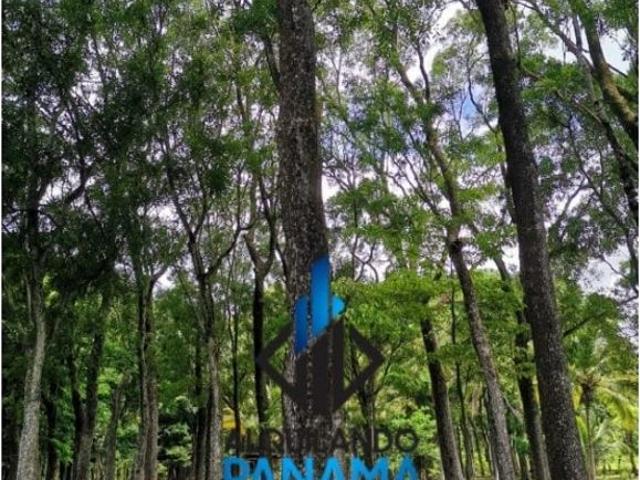 Cortijo de alto standing en venta Chame, Panamá Oeste
