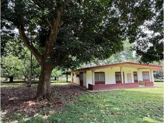 Cortijo de alto standing en venta Chame, Panamá Oeste