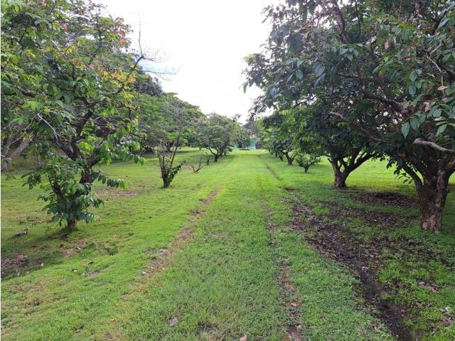Cortijo de alto standing en venta Chame, Panamá Oeste
