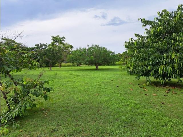 Cortijo de alto standing en venta Chame, Panamá Oeste
