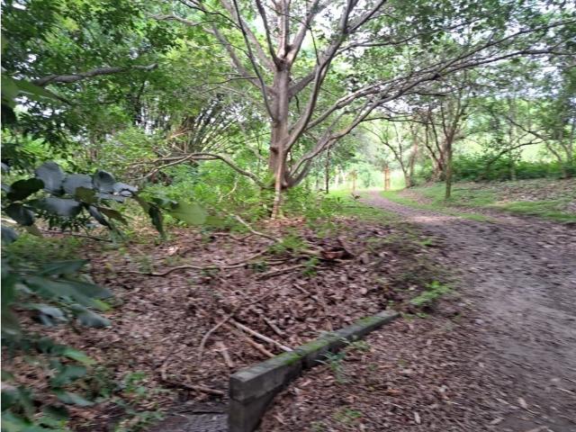 Cortijo de alto standing en venta Chame, Panamá Oeste