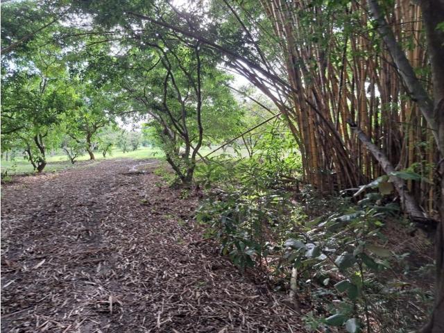 Cortijo de alto standing en venta Chame, Panamá Oeste