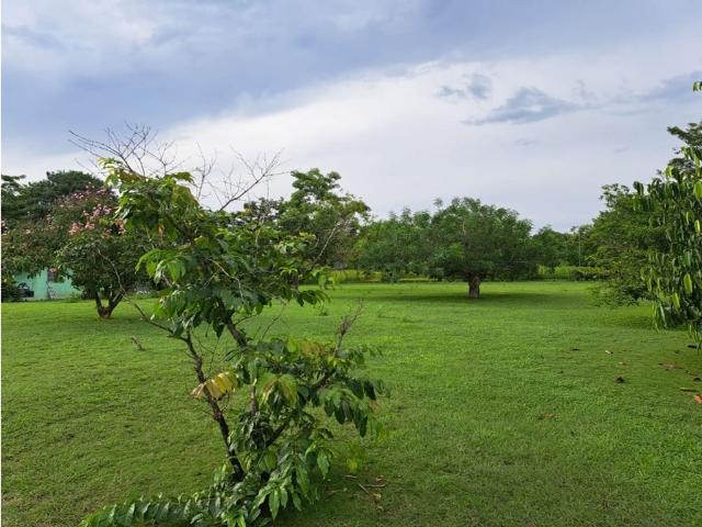 Cortijo de alto standing en venta Chame, Panamá Oeste