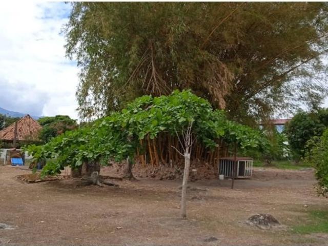 Cortijo de alto standing en venta Chinauta, Cundinamarca