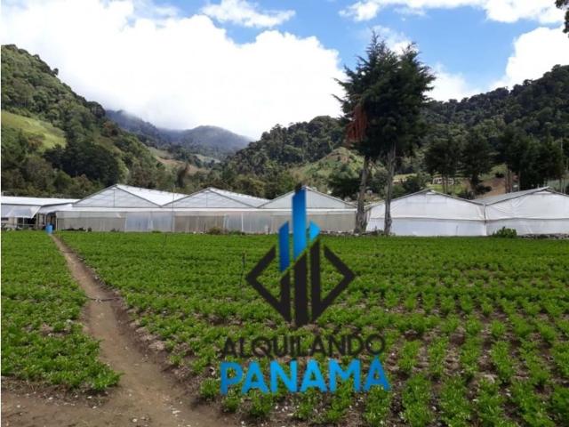 Cortijo de alto standing en venta Chiriquí, Panamá