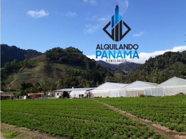 Cortijo de alto standing en venta Chiriquí, Panamá