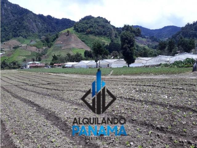 Cortijo de alto standing en venta Chiriquí, Panamá