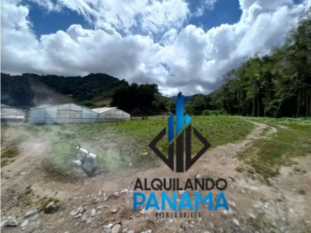 Cortijo de alto standing en venta Chiriquí, Panamá