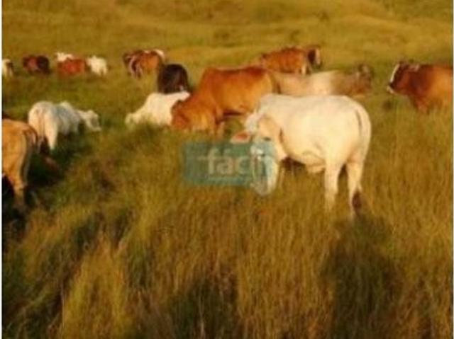 Finca en venta en Santander