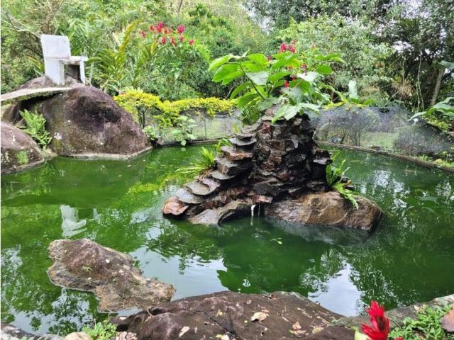 Finca en venta en Ciudad Bolívar, Suroeste