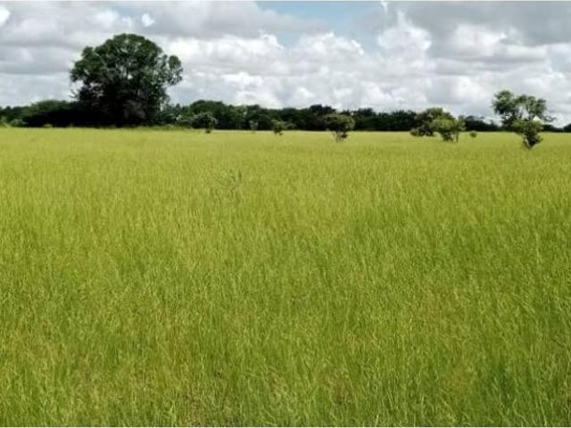 Propiedad en venta en Bolívar