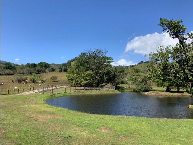 Cortijo de alto standing en venta Ciudad de Panamá, Panamá