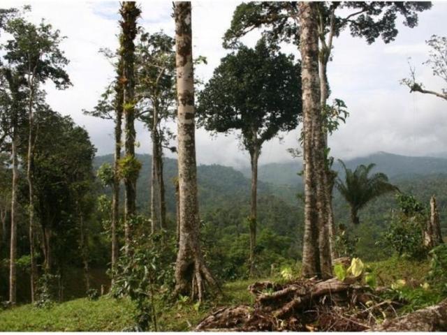 Cortijo de alto standing en venta Ciudad de Panamá, Panamá