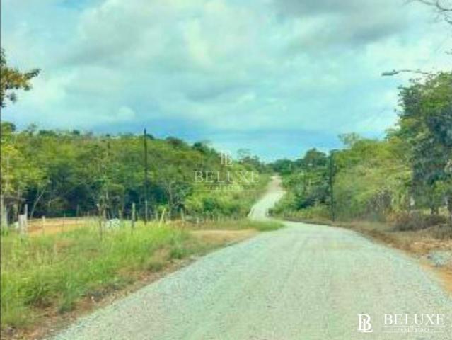 Cortijo de alto standing en venta Ciudad de Panamá, Provincia de Panamá