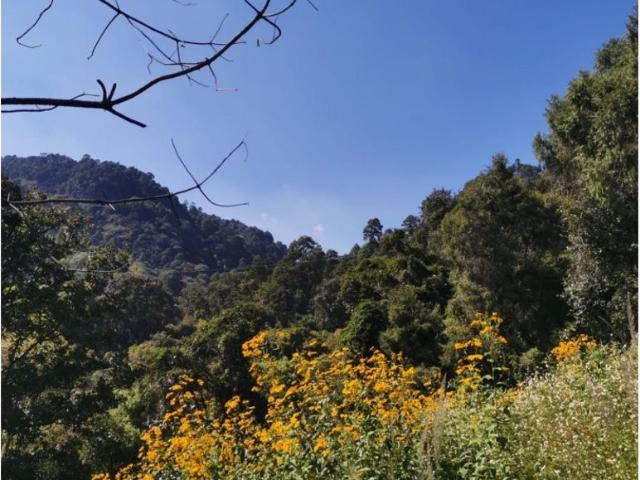 Rancho en venta en Coatepec Harinas
