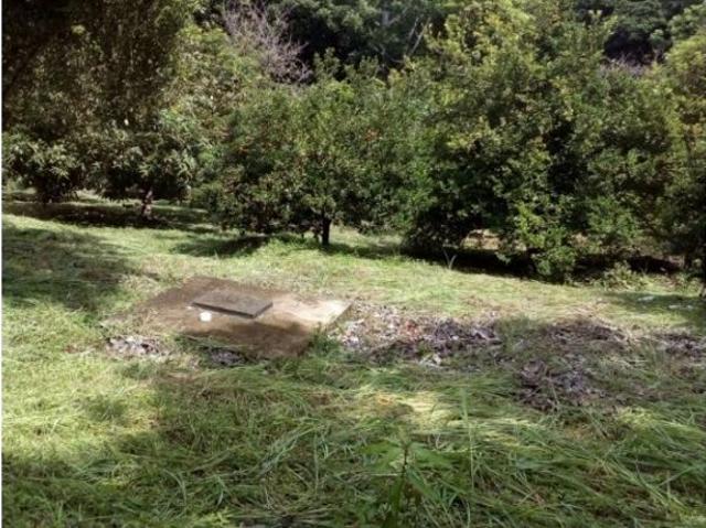 Cortijo de alto standing en venta Coclé, Provincia de Coclé