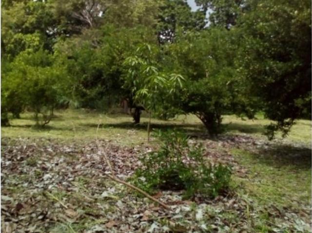 Cortijo de alto standing en venta Coclé, Provincia de Coclé