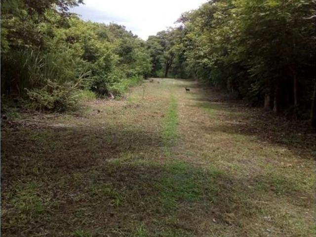 Cortijo de alto standing en venta Coclé, Provincia de Coclé