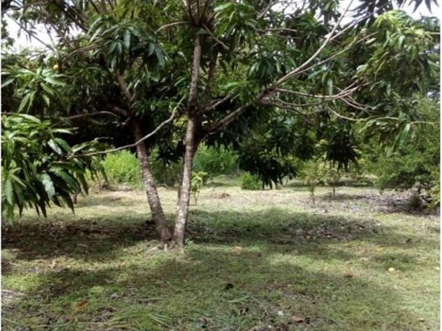 Cortijo de alto standing en venta Coclé, Provincia de Coclé