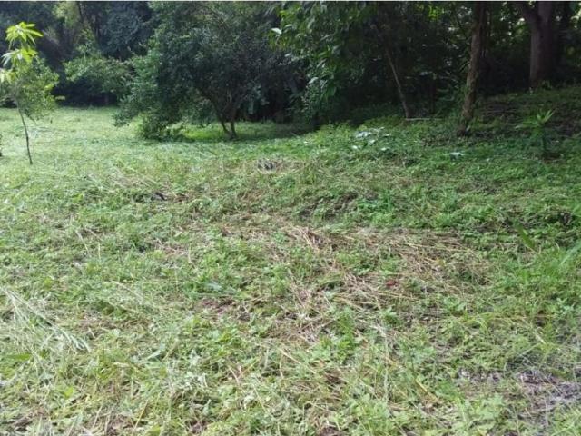 Cortijo de alto standing en venta Coclé, Provincia de Coclé