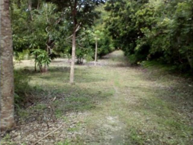 Cortijo de alto standing en venta Coclé, Provincia de Coclé