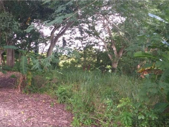 Cortijo de alto standing en venta Coclé, Provincia de Coclé