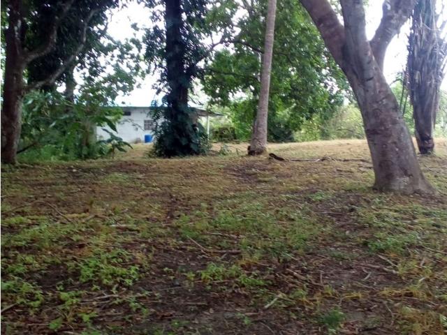 Cortijo de alto standing en venta Coclé, Provincia de Coclé