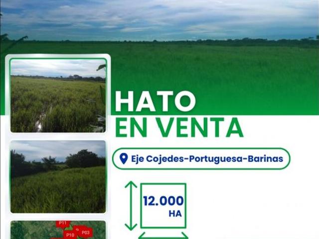Propiedad en venta en Cojedes