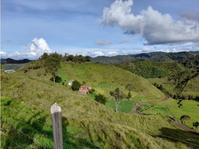 Finca en venta en Antioquia, Concepción