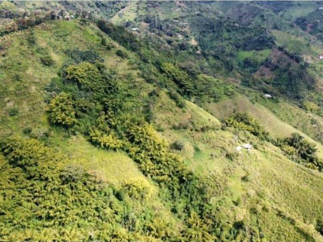 Finca en venta en Quindío