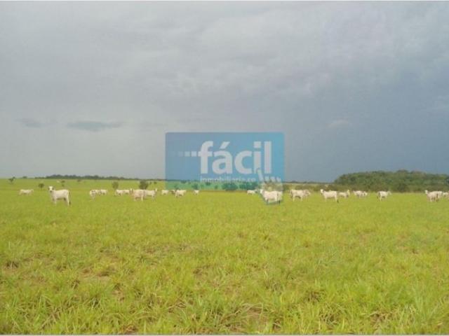 Cortijo de alto standing en venta Cumaribo, Colombia