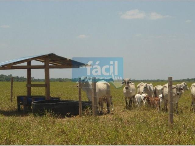 Cortijo de alto standing en venta Cumaribo, Colombia