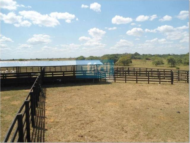 Cortijo de alto standing en venta Cumaribo, Colombia