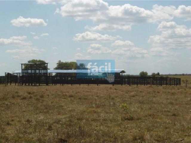 Cortijo de alto standing en venta Cumaribo, Colombia