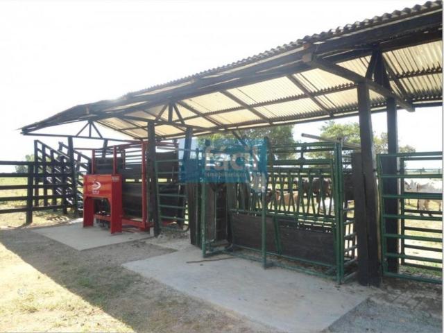 Cortijo de alto standing en venta Cumaribo, Colombia