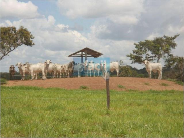 Cortijo de alto standing en venta Cumaribo, Colombia