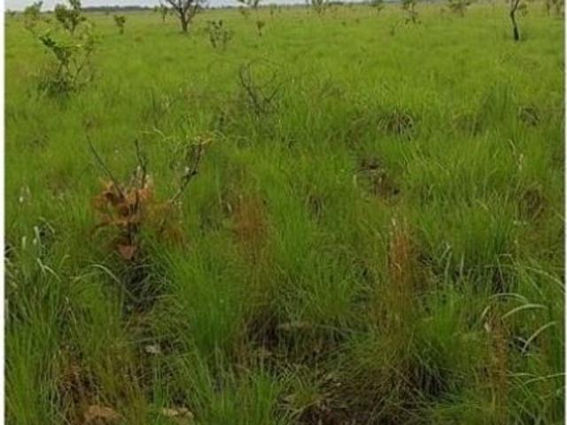 Finca en venta en Cumaribo