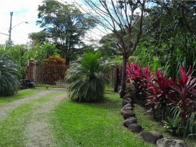 Finca venta en David