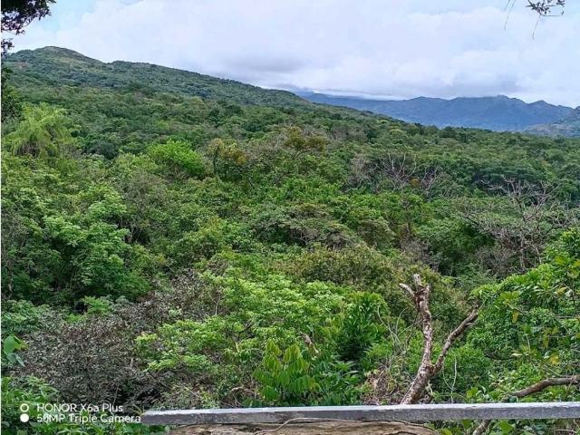 Finca venta en David