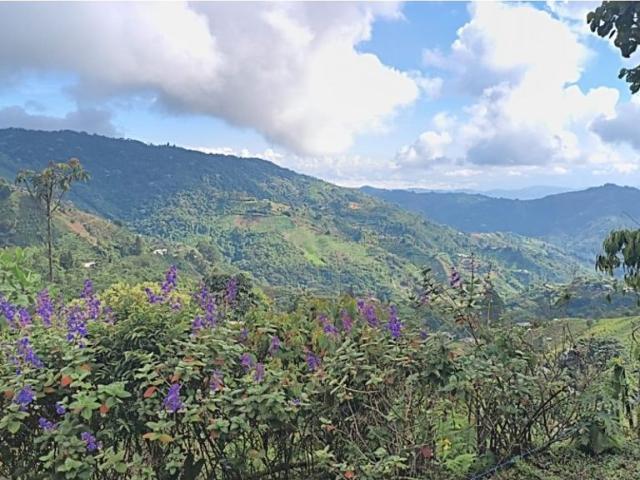 Finca en venta en Risaralda