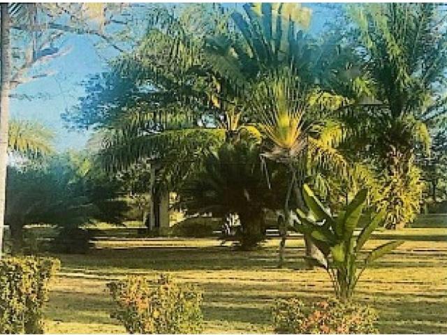 Propiedad en venta en Pao De San Juan Bautista, Cojedes