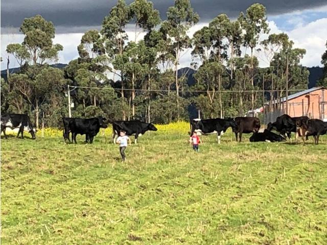 Finca en venta en El Rosal, Cundinamarca